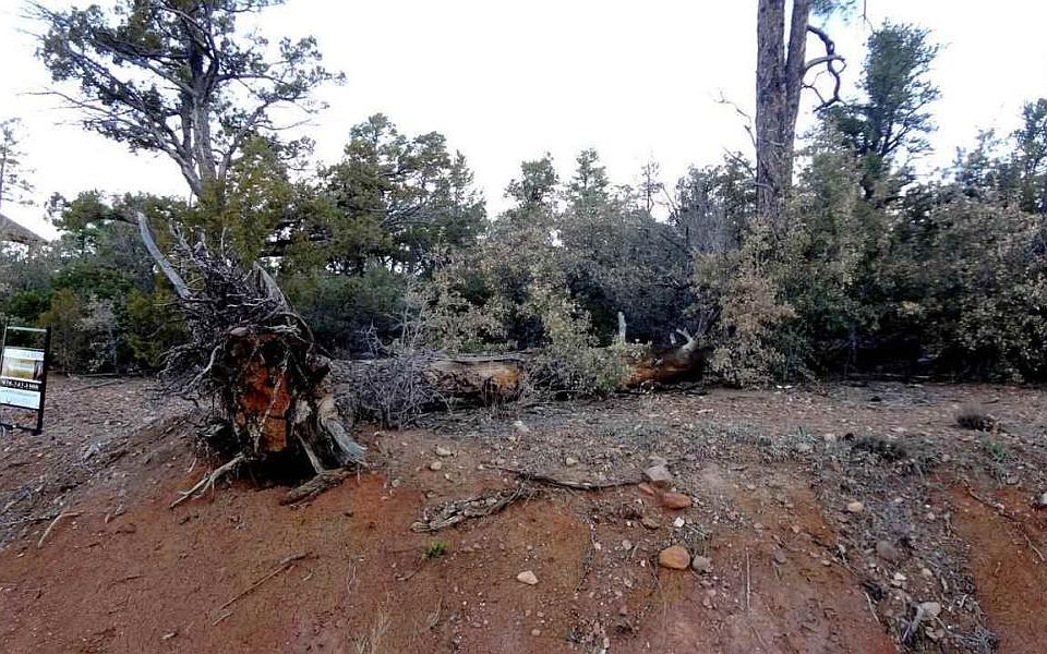 1st image of 2330 Evergreen Ln