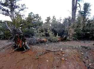 2330 Evergreen Ln, Show Low, AZ 85901