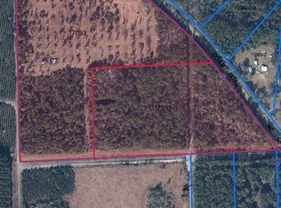 Tba Ne County 1475 Rd, Gainesville, FL 32609
