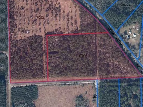 Tba Ne County 1475 Rd, Gainesville, FL 32609
