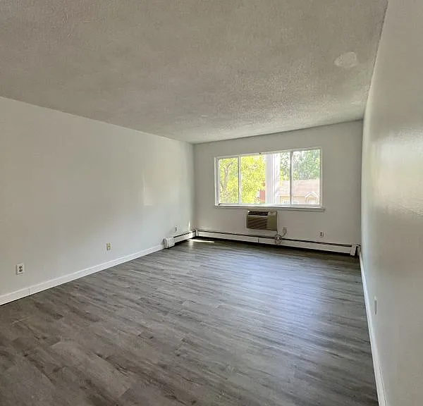 255 Elmwood Ave #205 — Photo 3