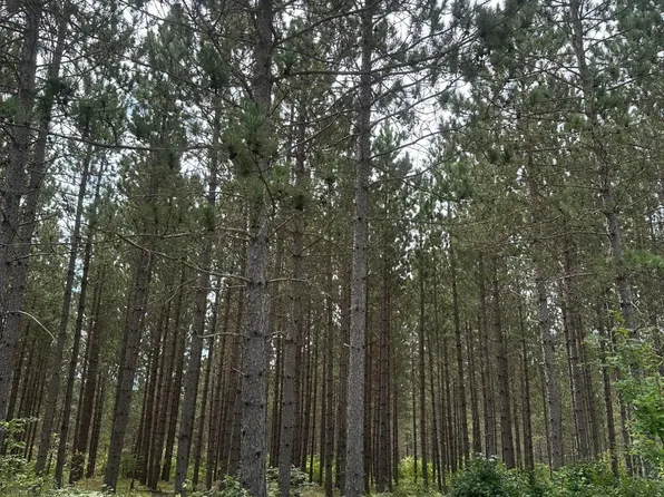 Lee Rd Lot 2, Tomahawk, WI 54487