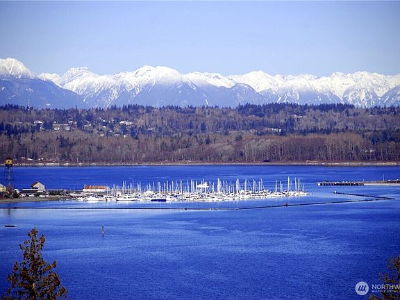 2nd image of 8975 Pine Sisken