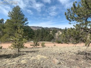 173 Crescent Dr, Florissant, CO 80816