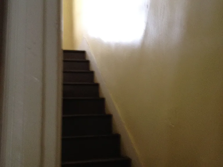 621 Emerald Stairs 3rd floor_01182016