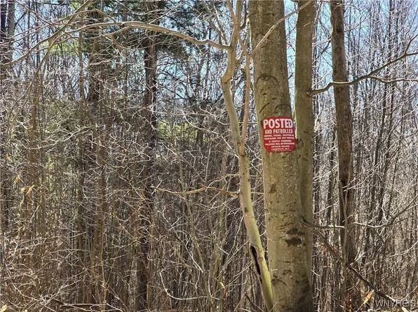 73 Barber Farm Sub Dr, Cuba, NY 14727