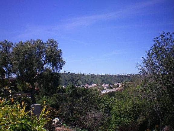 View from back yard