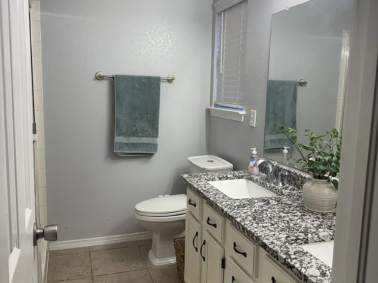 12253 Holy Springs Ct — Photo 19