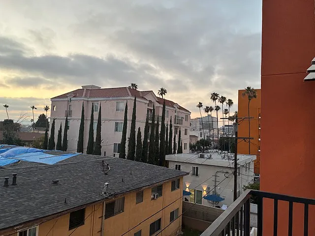 955 S Fedora Street — Photo 16