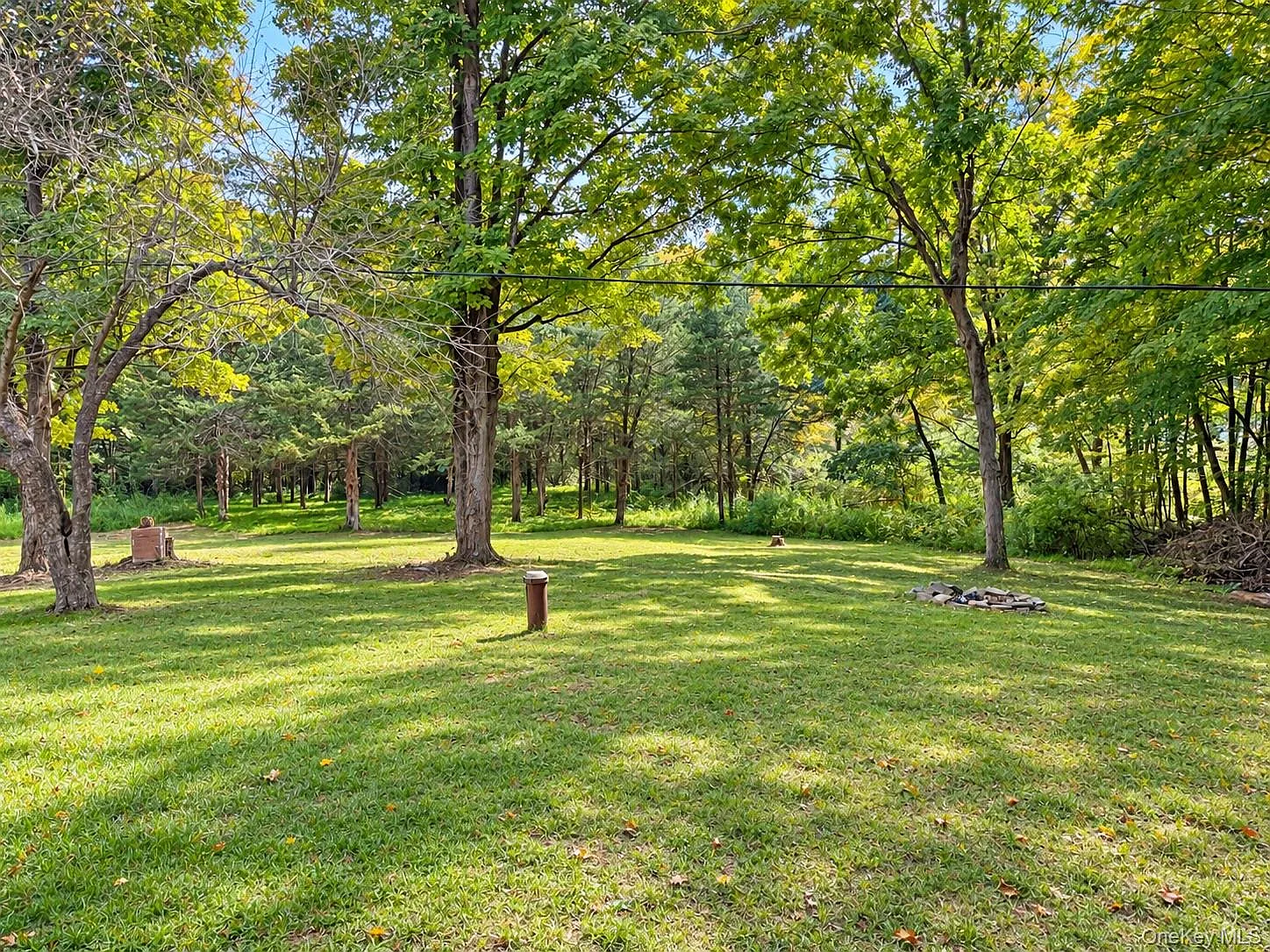 3 bed, 2.0 bath, 1200 sqft, $2,400 — Photo 3