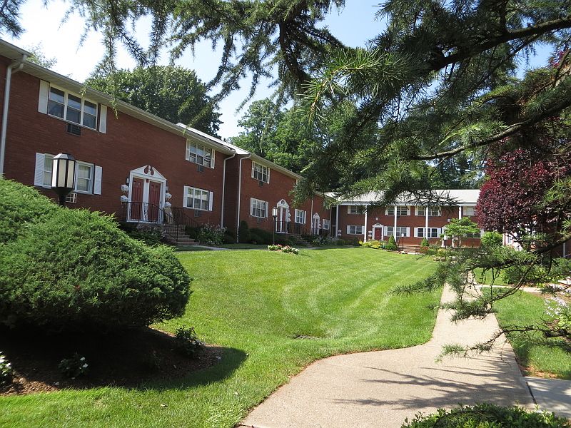 1st image of 45 Wilfred St #4