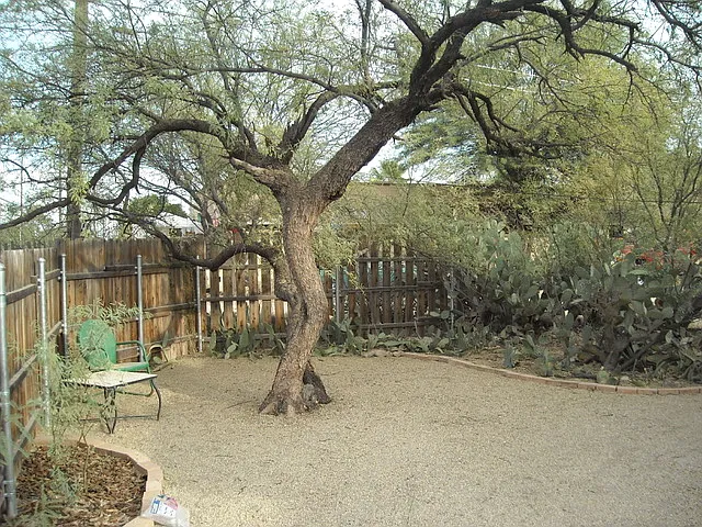 3146 E Kleindale Rd — Photo 10