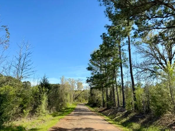 County Road 1619, Linden, TX 75563