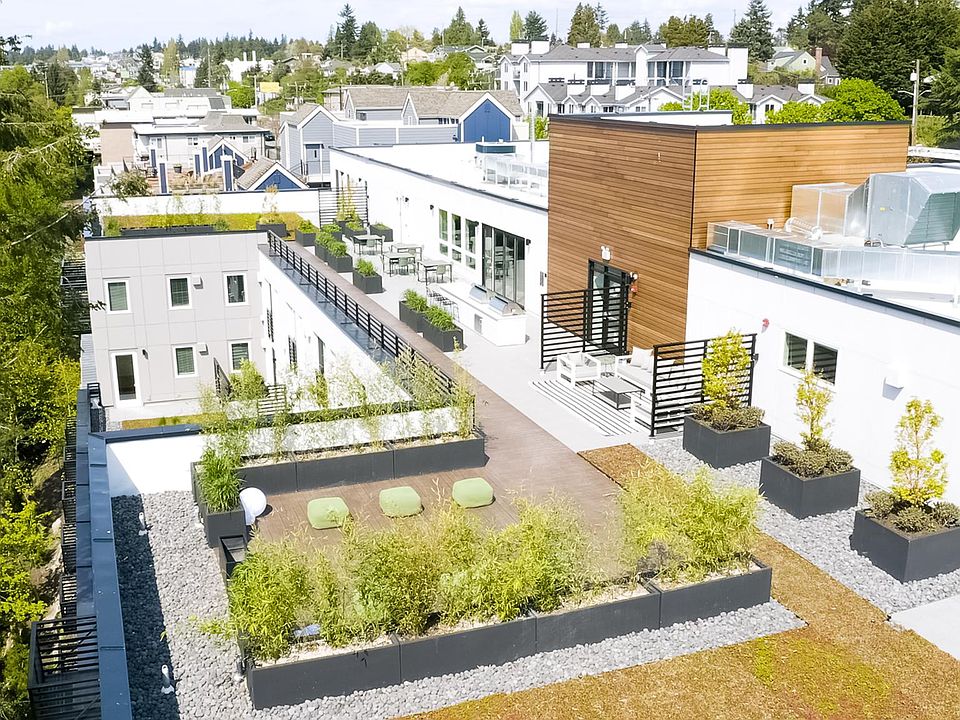 Rooftop Deck