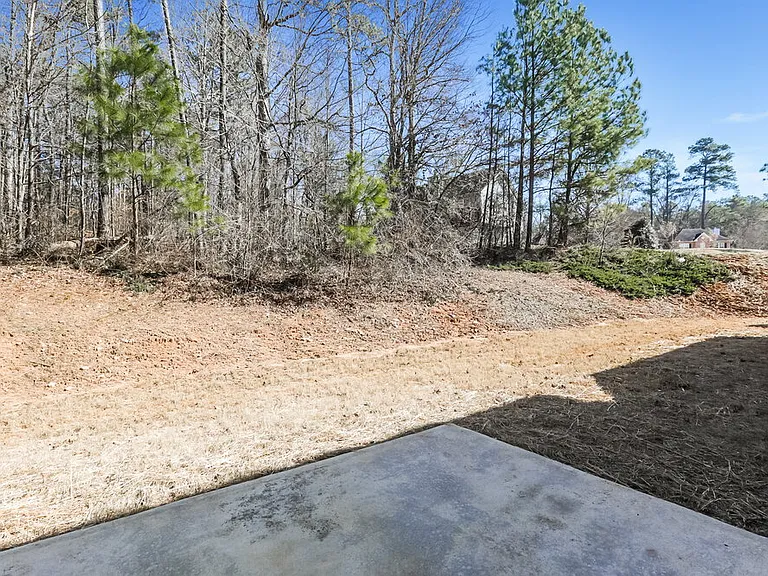 4156 Bosenberry Way — Photo 20