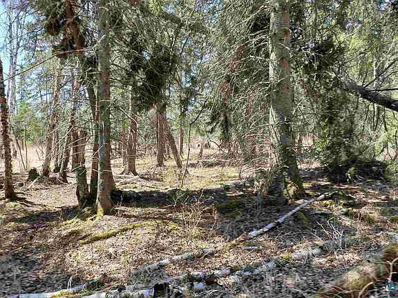 2nd image of Lot 2 Hoaglund Dr