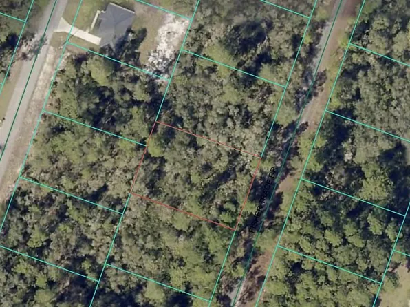 0 Fisher Trace Dr Lot 14, Ocklawaha, FL 32179