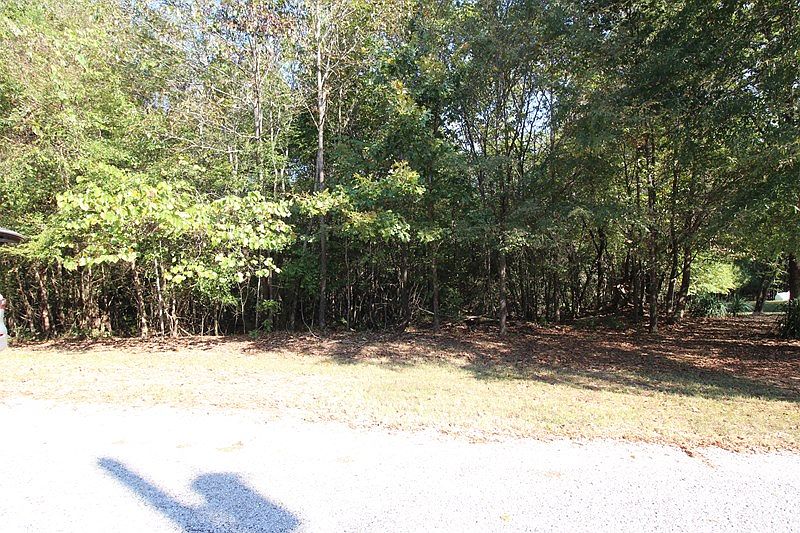2nd image of 350 Rolling Hills Dr