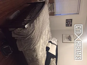 Rented by Citi Habitats