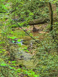 0 Cavender Creek Rd #C, Dahlonega, GA, 30533