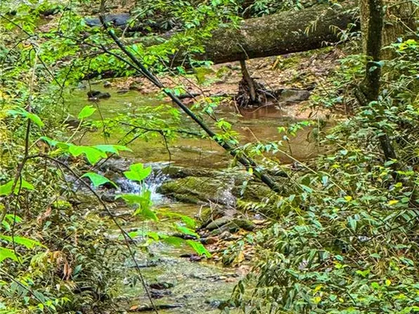 0 Cavender Creek Rd #C, Dahlonega, GA 30533