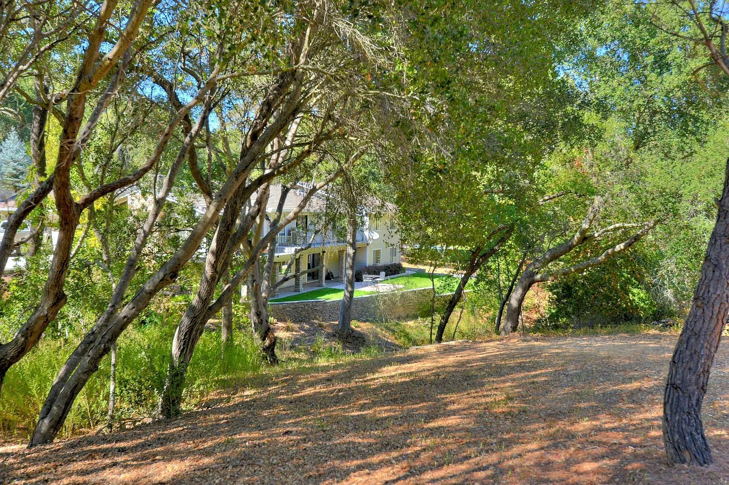 1 bed, 1600 sqft, $3,950 — Photo 4