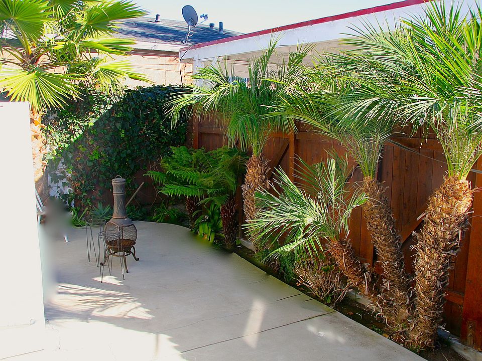 Back Patio