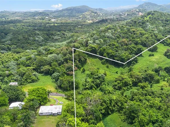 968 BO. ZARZAL, RIO GRANDE, PR 00745