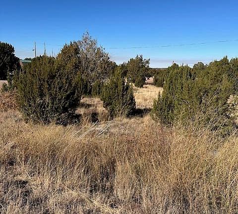 4th image of 8632 Silver Creek Dr