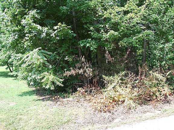2nd image of 65 Dogwood Ln