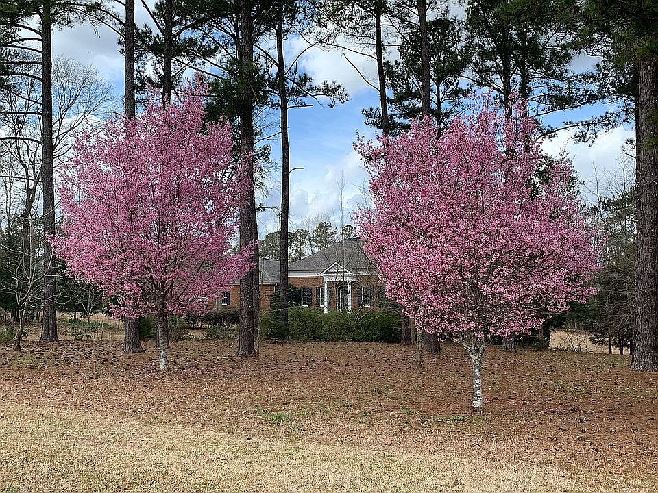 2nd image of 119 Chriswood Dr