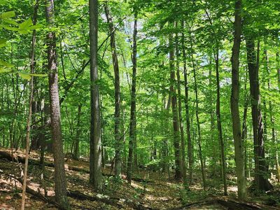 0 Fern Ln, Jay, NY, 12941