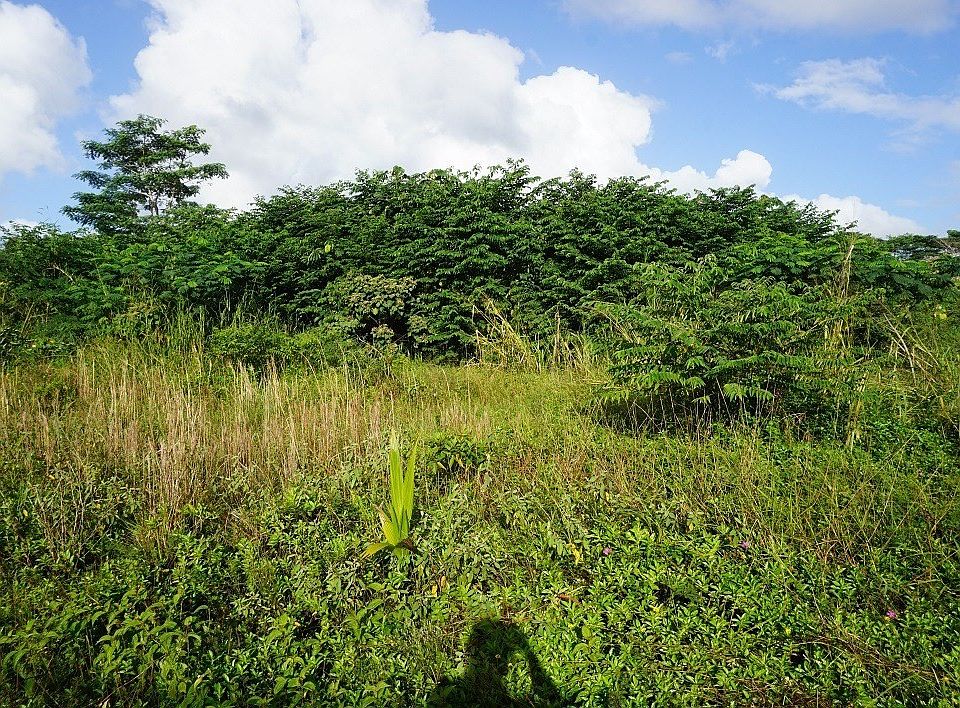 1st image of Kahakai Blvd Lot 6