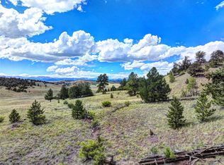 3290 Fitzsimmons Rd, Hartsel, CO 80449