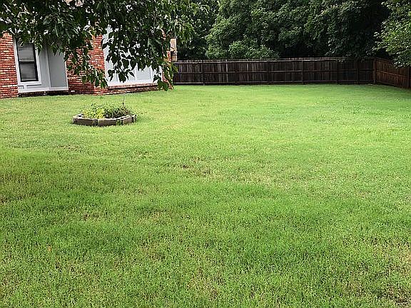 Very Large Back Yard