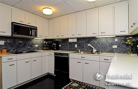 3rd image of 161 E Chicago Ave APT 49C