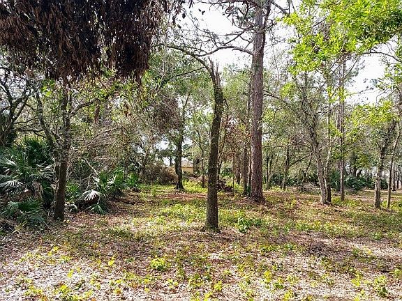 3rd image of 16500 Greenwood Forest Dr