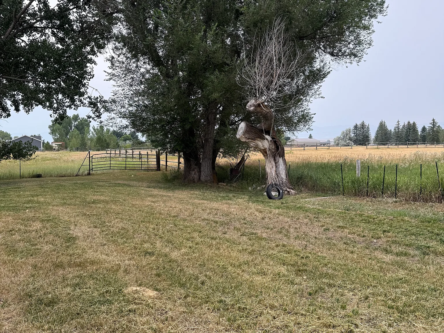 3 bed, 1040 sqft, $1,600 — Photo 4