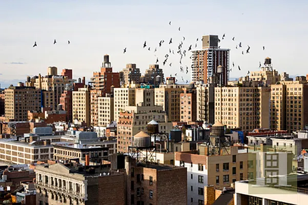 Sold by Halstead Real Estate | media 9