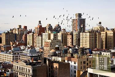 Sold by Halstead Real Estate