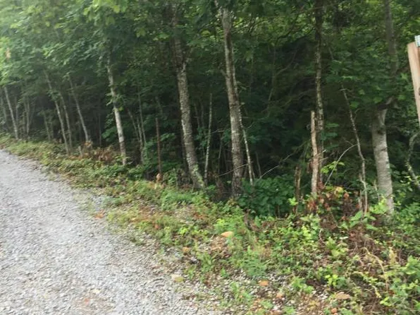 Peanut Ln, New Tazewell, TN 37825