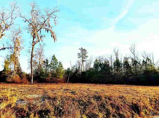 LOT 2 Pisgah Church Rd LOT 2, Aynor, SC 29511