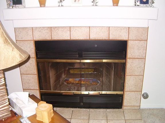 Wood Burning Fireplace