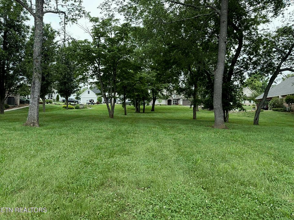 2nd image of 113 Nunnehi Trl