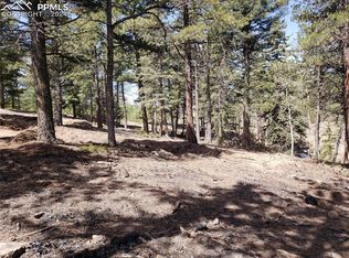 10460 Peavey Pl, Woodland Park, CO 80863