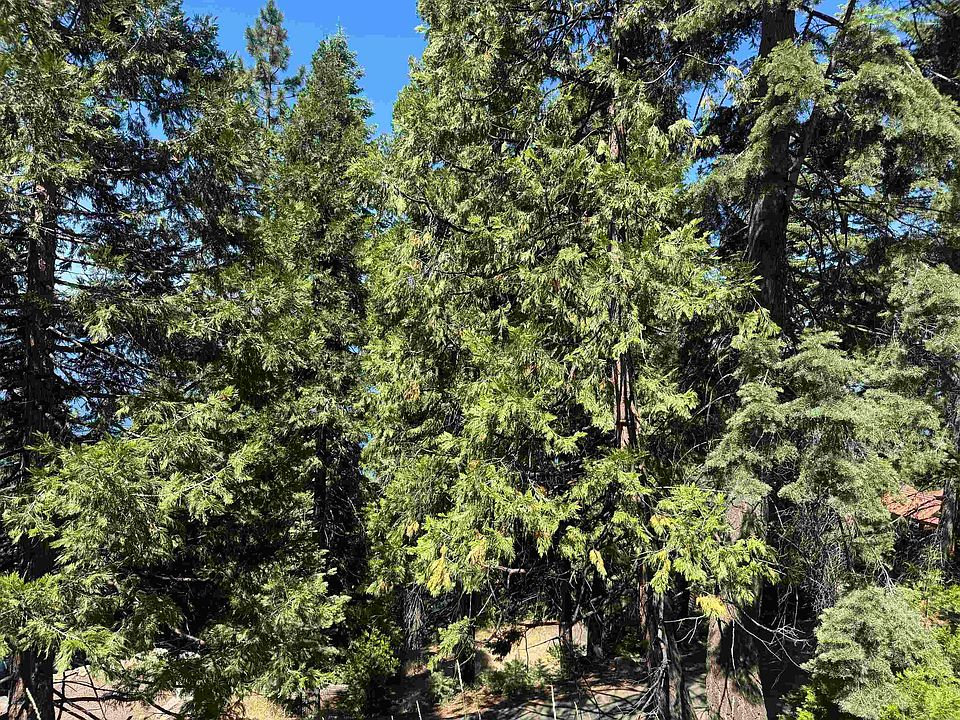 1st image of 739 Lassen View Dr