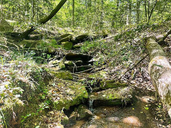 Creek Waterfall