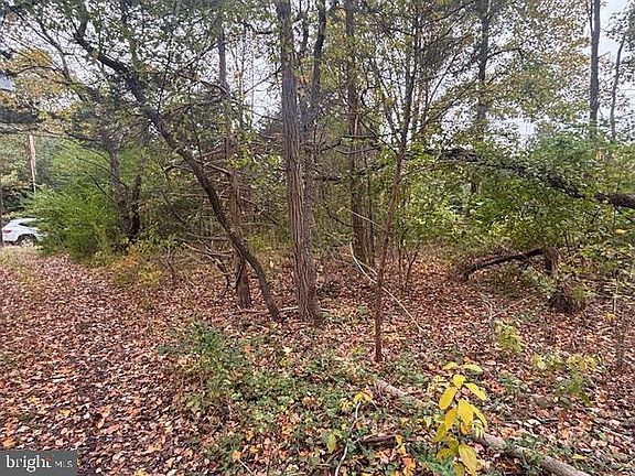 4th image of 23 Kuzyk Rd