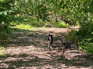 16-4 Catamount Rd, Pittsfield, NH 03263