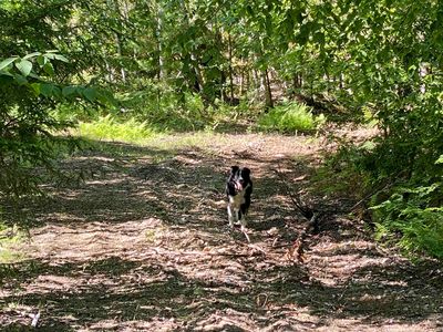 Lot 16-4 Catamount Road, Pittsfield, NH, 03263